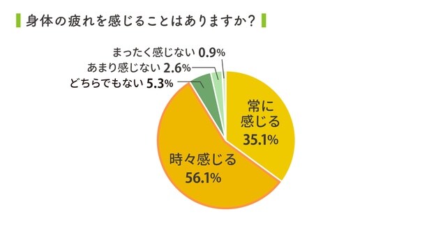 2026定点観測グラフ-12