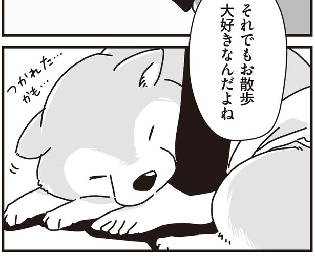 お散歩大好きなんだよね