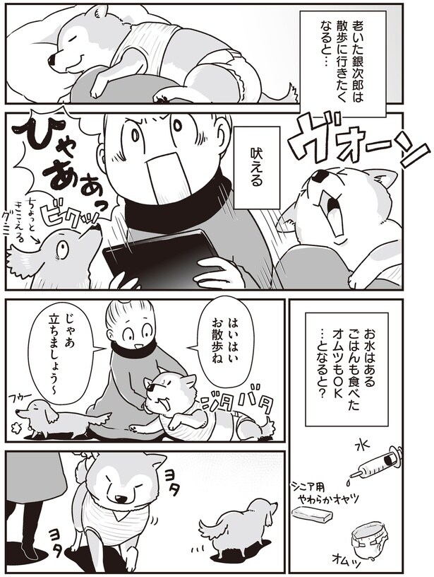 はいはいお散歩ね