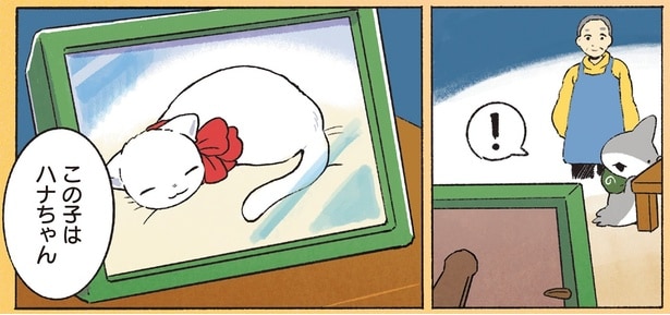 この子はハナちゃん