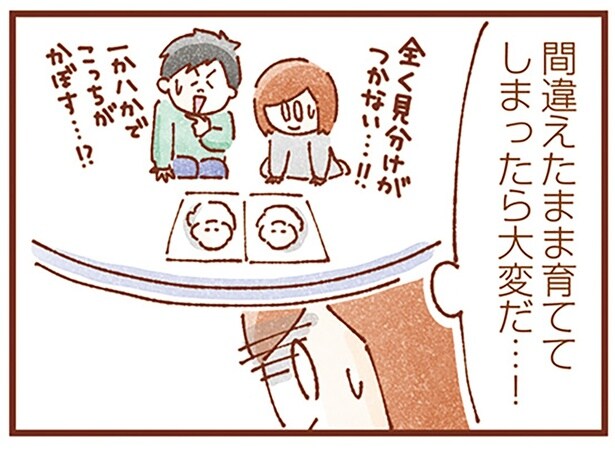 間違えたまま育ててしまったら大変だ…！