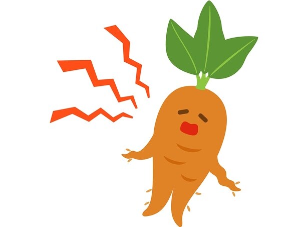 5歳の息子が紙で作ったのは…マンドラゴラ!?