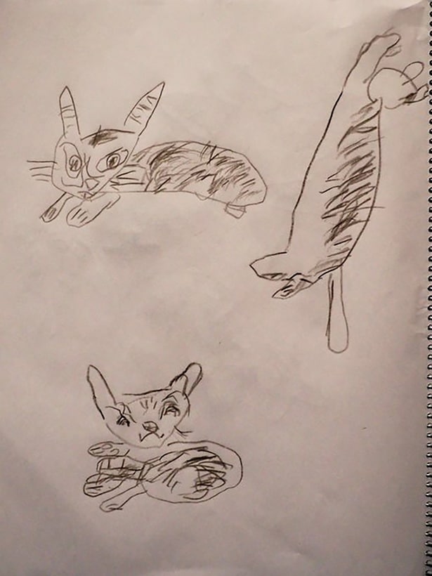 「猫の日」の由来に疑問を覚える5歳が描いてくれた猫▶モデルになったのは（⇒次へ）