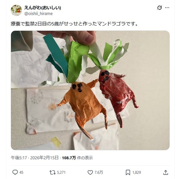 5歳が作ったマンドラゴラ▶作った理由は…？（⇒次へ）