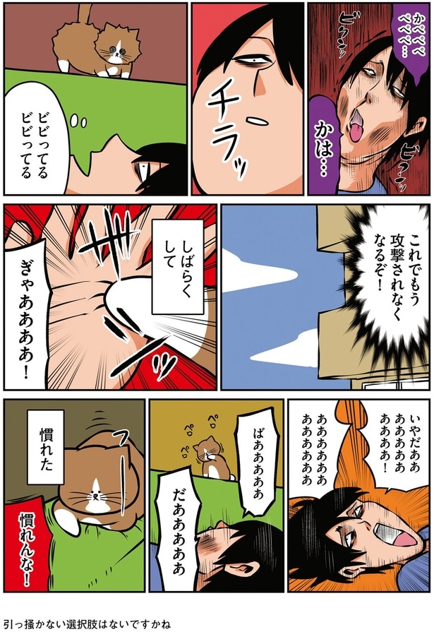 これでもう攻撃されなくなるぞ！