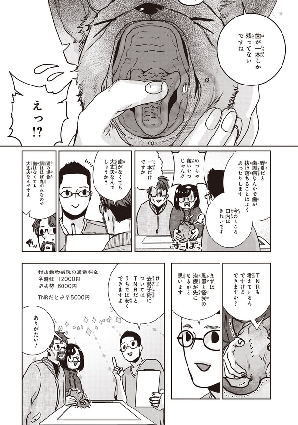 歯がなくても大丈夫なんでしょうか？