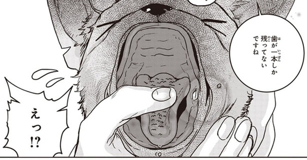 歯が一本しか残ってないですね