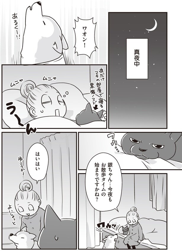 お散歩タイムの始まりですかね？