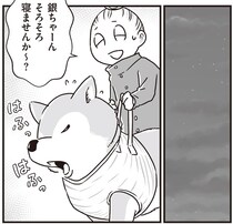 まるで世界でふたりきり。老いた柴犬と同じ場所をぐるぐる歩く、夜のお散歩