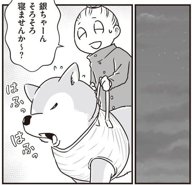 まるで世界でふたりきり。老いた柴犬と同じ場所をぐるぐる歩く、夜のお散歩