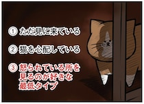 物陰から感じる視線。子猫を叱るところを先住猫が見にくる訳は？