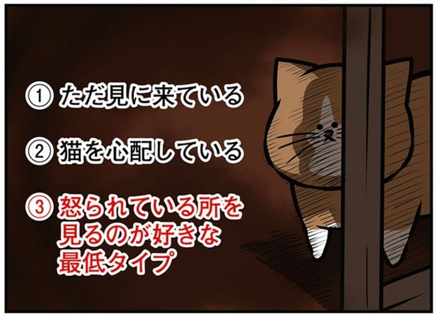 物陰から感じる視線。子猫を叱るところを先住猫が見にくる訳は？