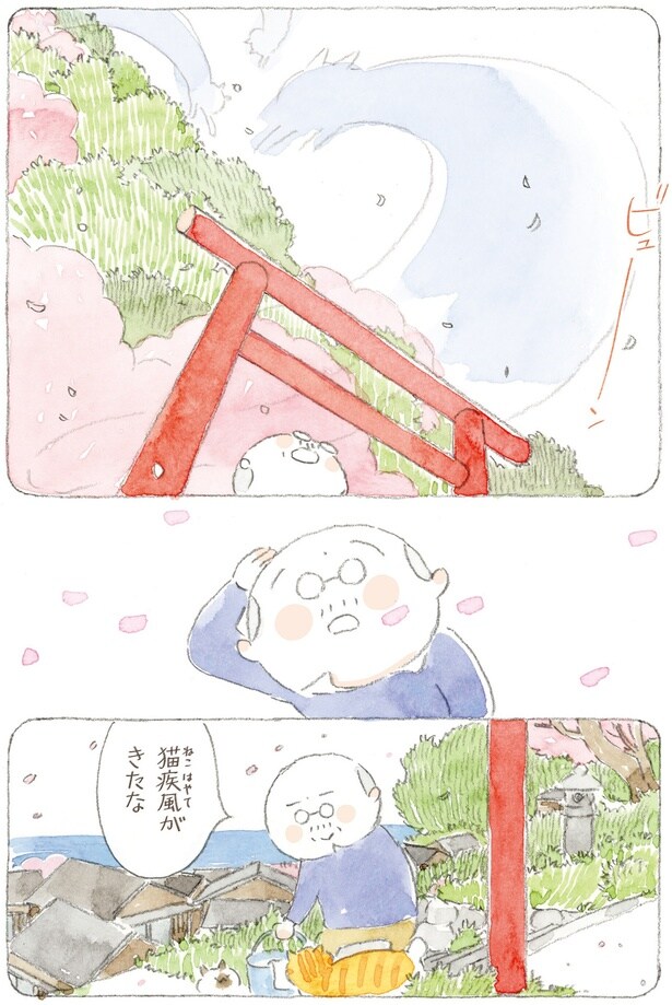 猫疾風がきたな