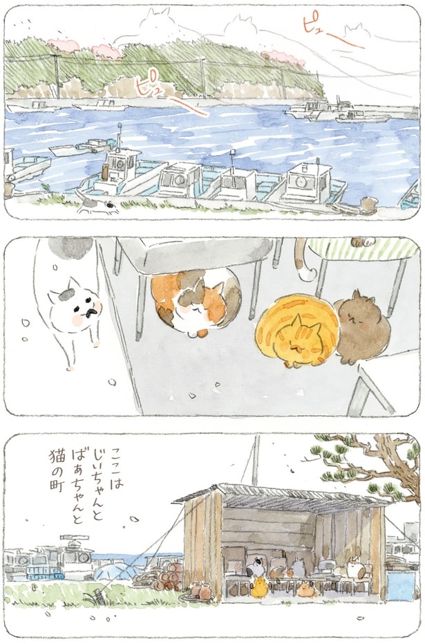 ここはじいちゃんとばあちゃんと猫の町