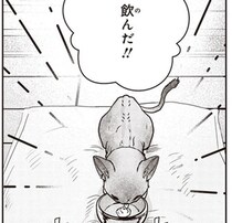 一筋縄ではいかない野良の子猫への投薬。頼ったのは、やっぱりアレ！／スローステップ朔太郎 上（10）