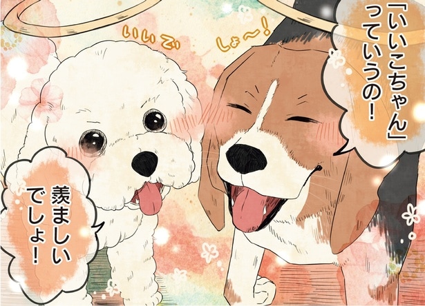 「いいこちゃん」っていうの！