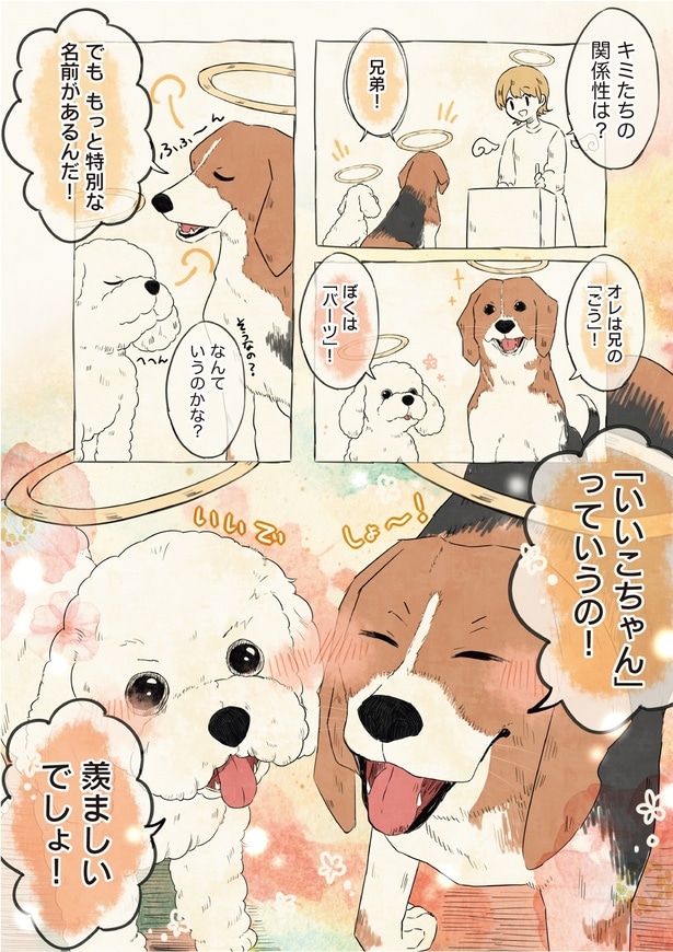 もっと特別な名前があるんだ！