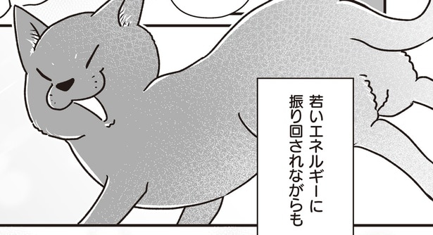 若いエネルギーに振り回されながらも