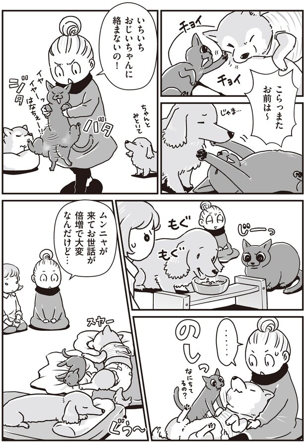 いちいちおじいちゃんに絡まないの!