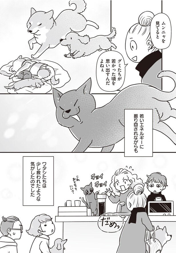 若かった頃を思い出すんだよねぇ