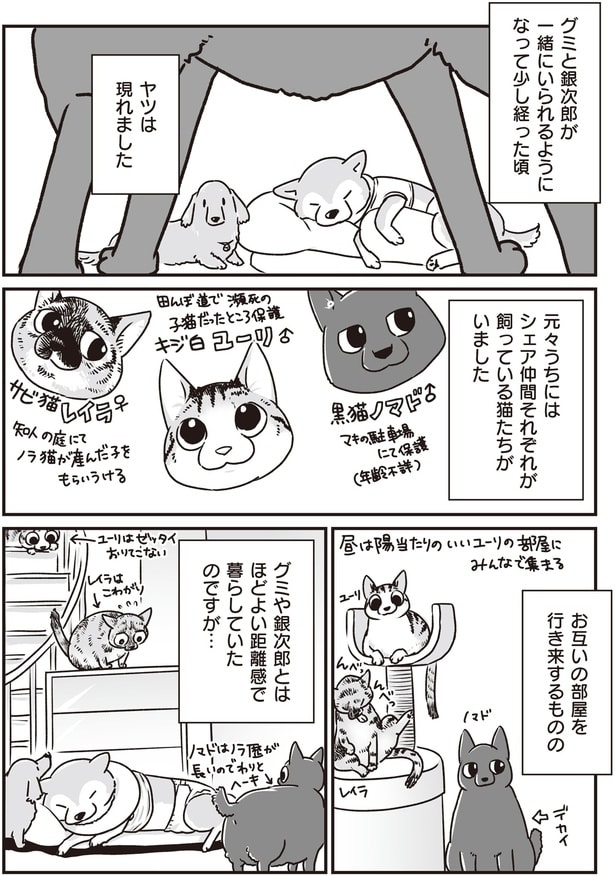 ヤツは現れました