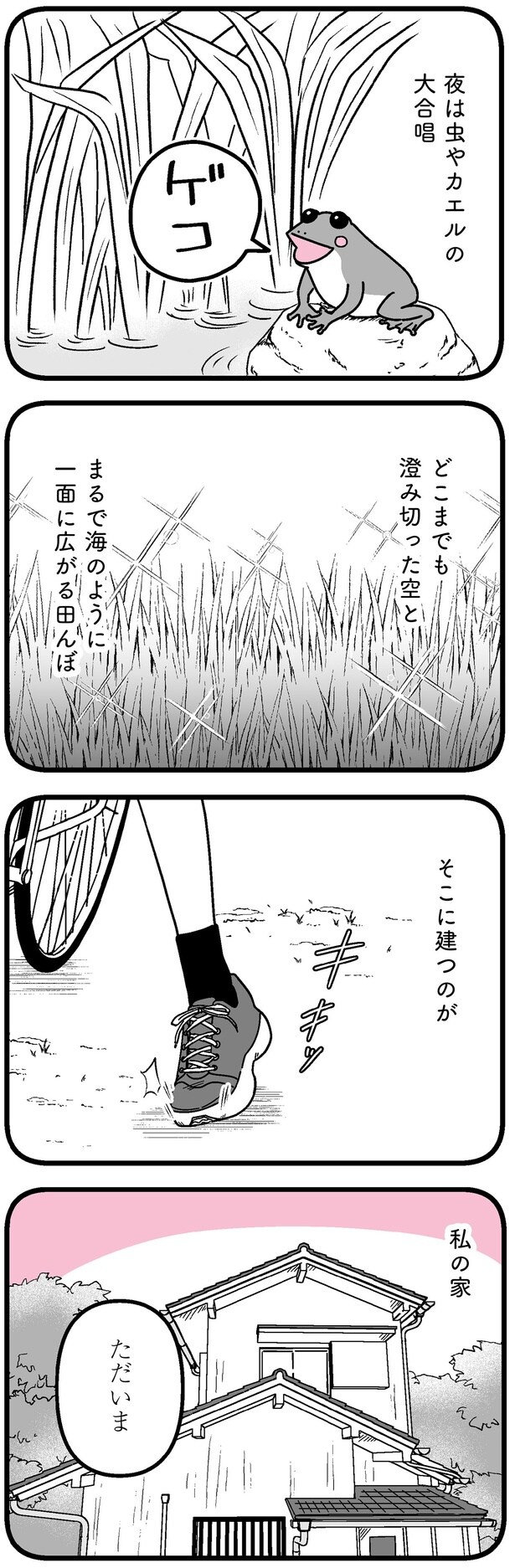 夜は虫やカエルの大合唱