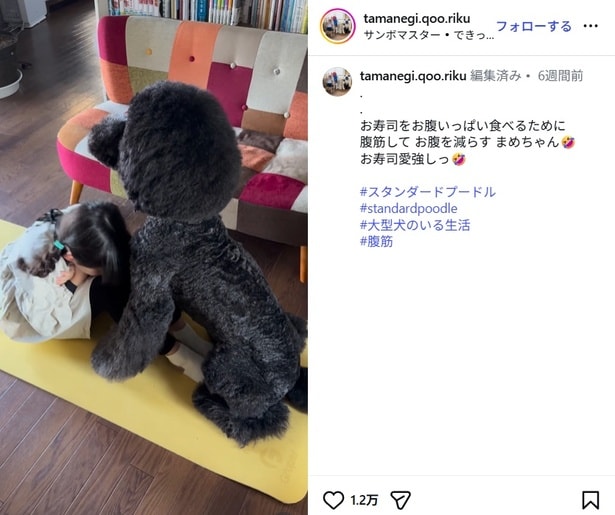 腹筋をしている女の子に寄り添うワンちゃん（⇒次へ）