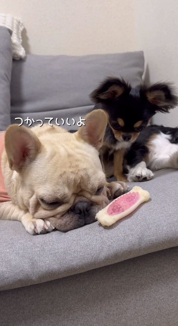 「ほしいんでしょ？どうぞ」▶「ではもらいます」（⇒次へ）