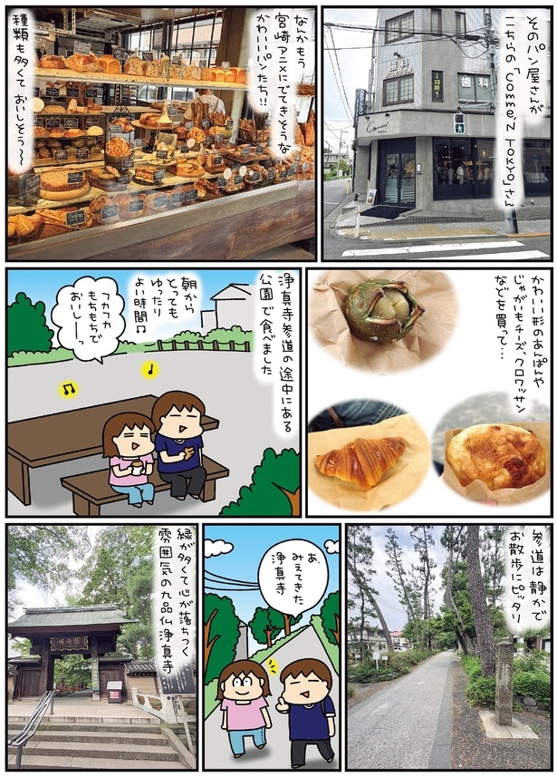 参道は静かでお散歩にピッタリ