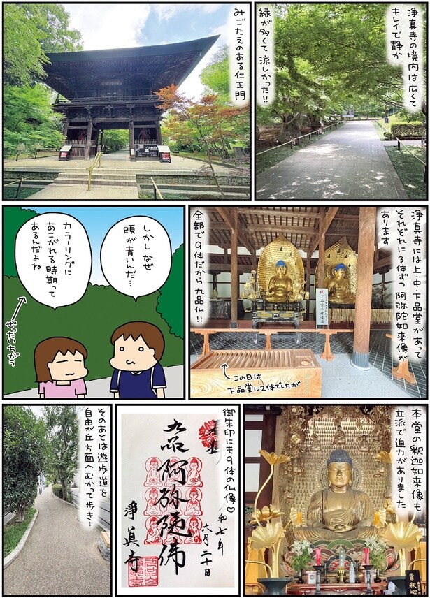 しかしなぜ頭が青いんだ…