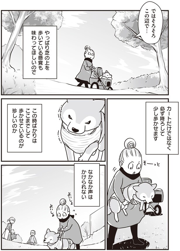 そろそろこの辺で…