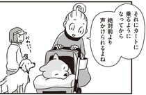 たくさんの人から声をかけられるように！足が弱ってきたシニア柴犬のお散歩