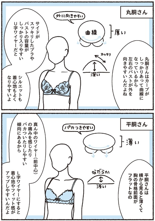 丸胴さんと平胴さん