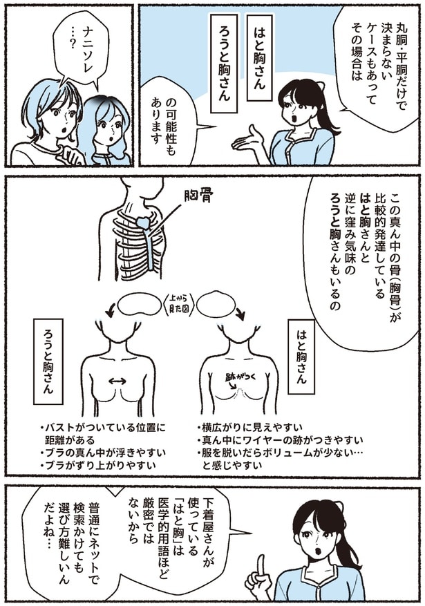 はと胸さんとろうと胸さん