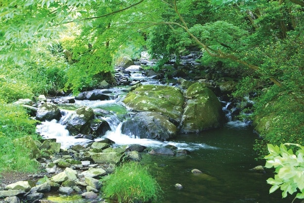 島根県で数百年の歳月をかけてろ過された天然水
