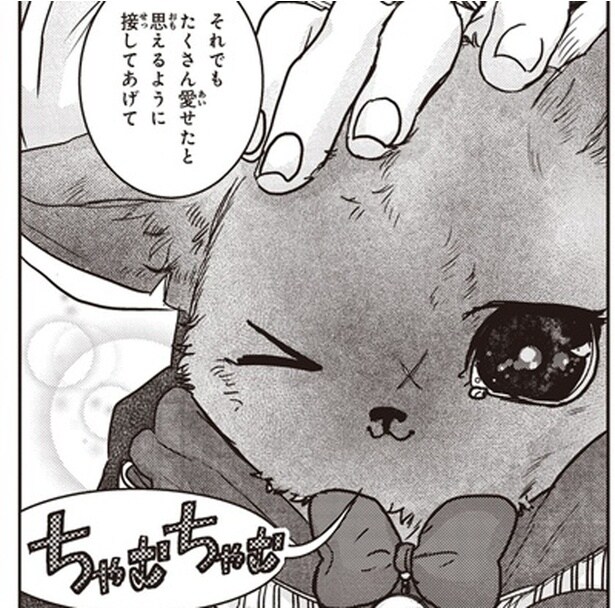 それでもたくさん愛せたと思えるように