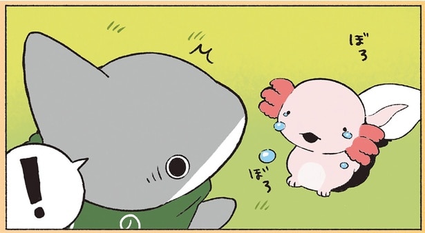 子ザメちゃんが出会った新しいお友だち。涙を流しているのをなんとかしてあげたい！