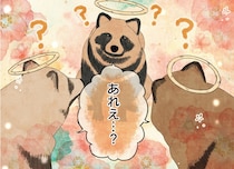 誇らしげに「いぬ」と名乗るたぬきが、天国に続々と出現！あれえ‥？