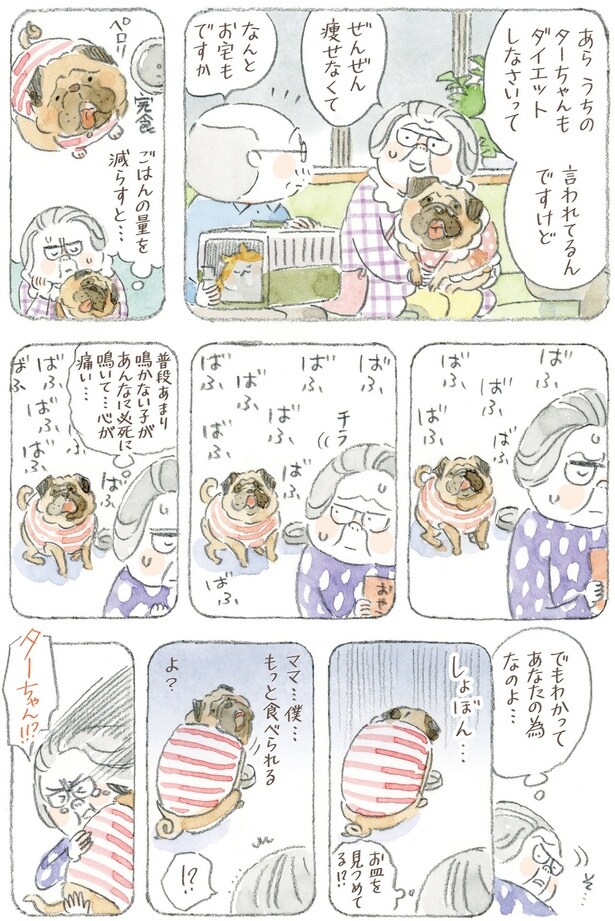 ごはんの量を減らすと…