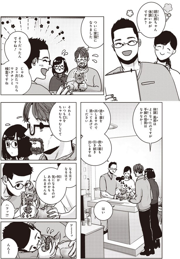 ついに家猫になりました