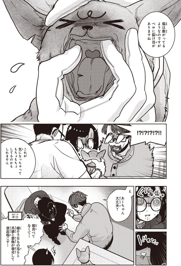 これが気になっちゃって