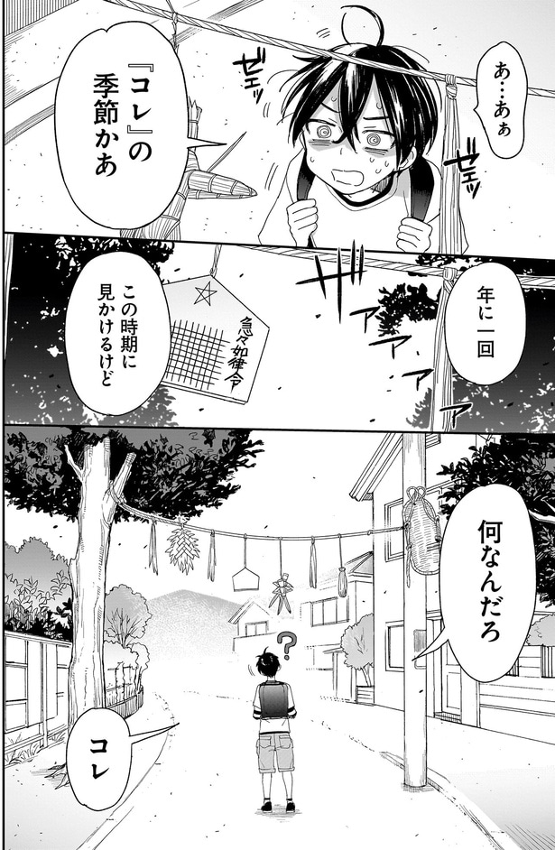 この時期に見かけるけど何なんだろ