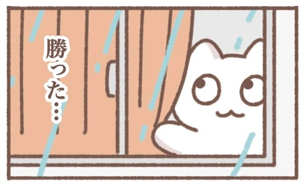 在宅勤務の朝、雨音を聞いてなんだか得した気持ちに