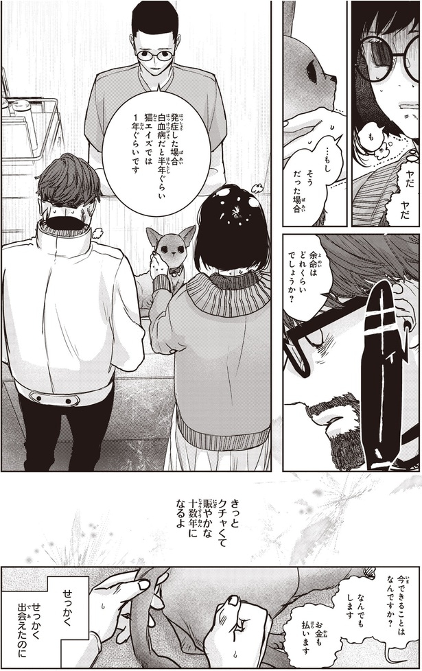 せっかく出会えたのに