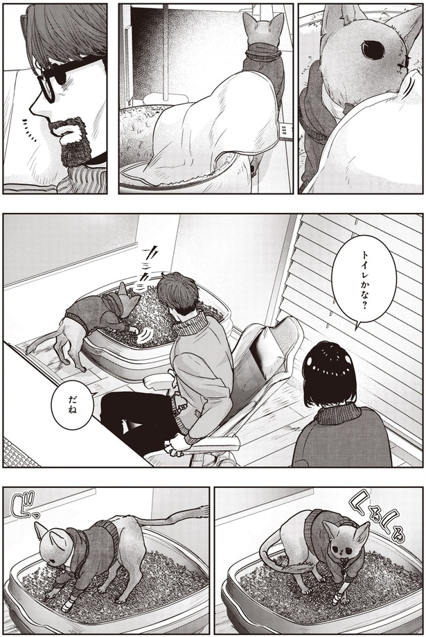 トイレかな? だね