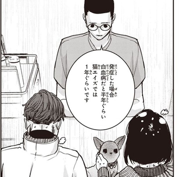 せっかく出会ったのに。獣医から告げられた、保護猫の残酷な現実/スローステップ朔太郎 上(16)