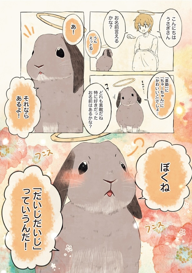 こんにちはうさぎさん