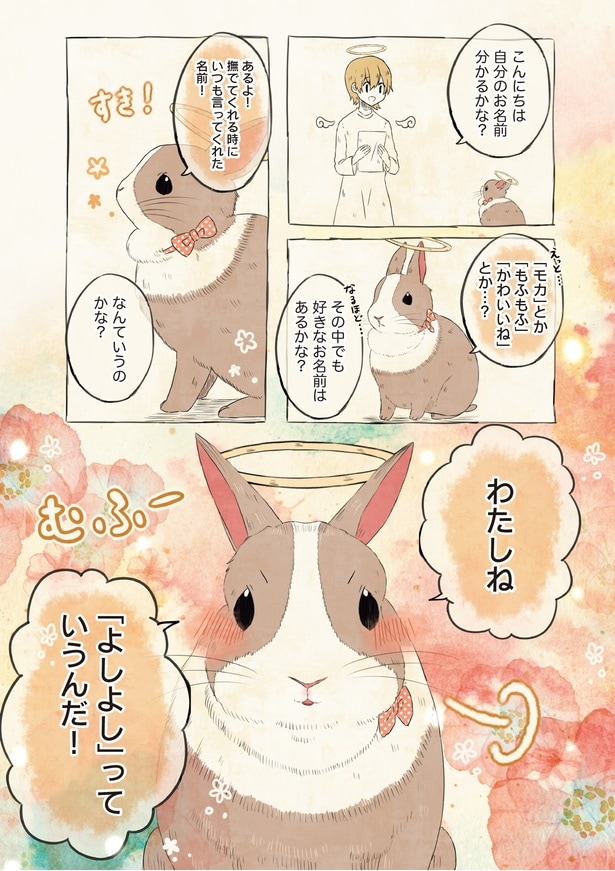 撫でてくれる時にいつも言ってくれた名前！