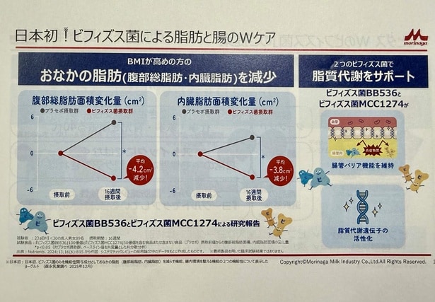 ビフィズス菌による脂肪と腸のWケア