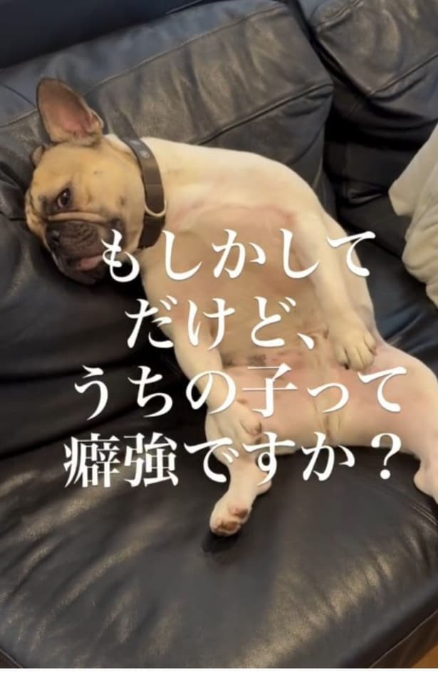 クセつよい系だと確定▶においをふんふん（⇒次へ）